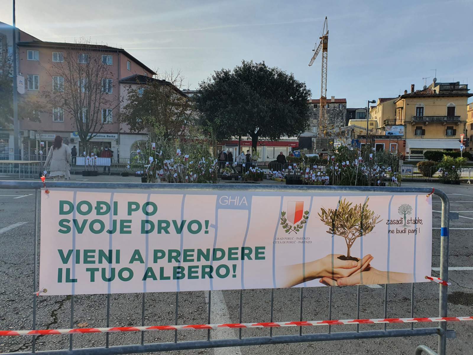 POREČ: Rekordan interes za akciju 'Zasadi stablo, ne budi panj', građanima podijeljeno više od 500 sadnica